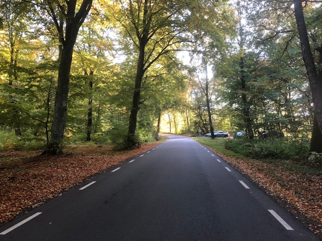 Höstaktiviteter i Värmland